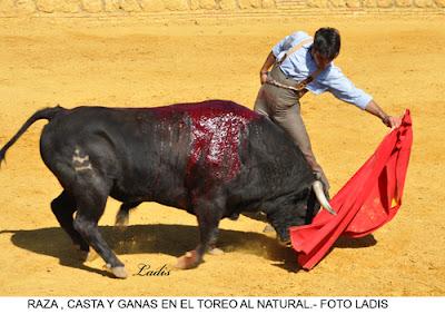 PREPARACIÓN PARA LA TEMPORADA 2012