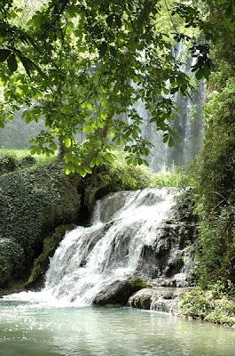 Naturaleza en estado puro en el Monasterio de Piedra