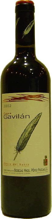 Cepa Gavilán 2009