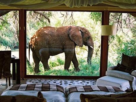 Lugares para soñar, porque soñar es gratis! Lugares para soñar, porque soñar es gratis!