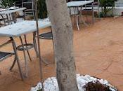 idea: decoración macetas