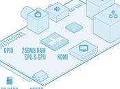 oficial, Raspberry puede nuestra