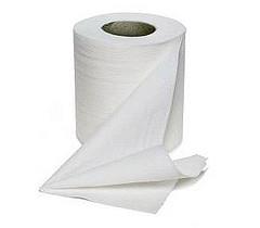 ¿Cuándo se inventó el papel higiénico?