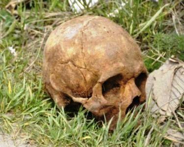 EN DAJABÓN: Causa asombro y pánico el hallazgo de 4 cráneos humanos...