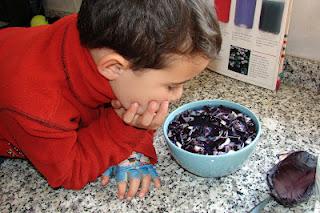 Pruebas de colores: experimentando en casa y en la escuela