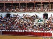 crítica constructiva