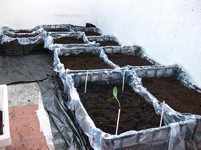 Huertas Caseras con elementos reciclados