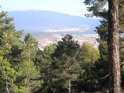 Preservación del medio ambiente - cuidado de montes