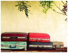 La decisión de emigrar La decisión de emigrar