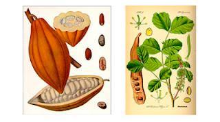 Tarta de Chocolate Tarta de Chocolate