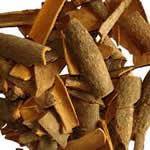fotos Canela como planta medicinal
