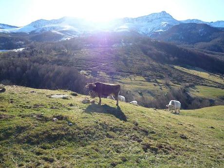 Cuanto listo con Facebook... y cuanto ecologista con blog...