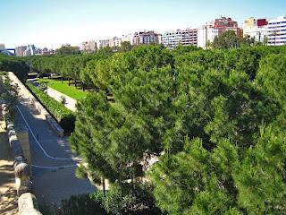 Mantenerse en forma y respirar oxigeno en la ciudad de Valencia