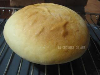 CONCHAS DE CREMA