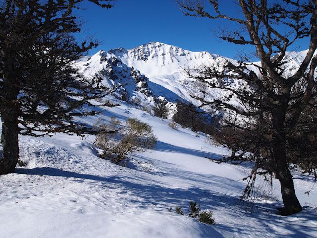 pico del oso