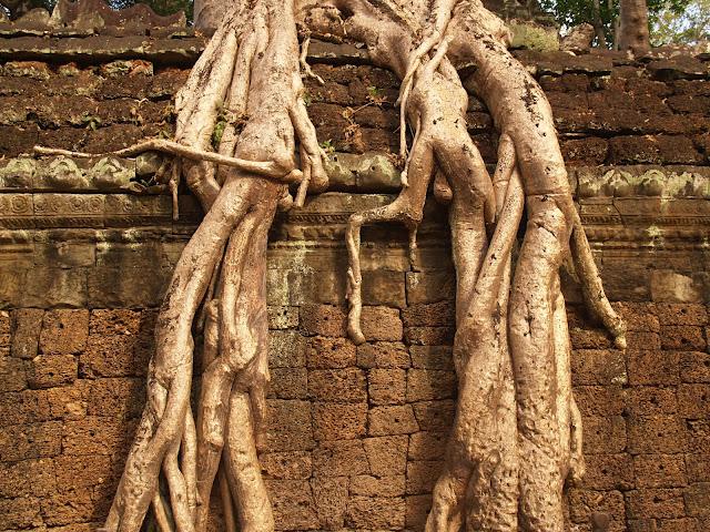 Templos de Angkor, morada de los dioses