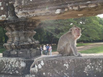 Templos de Angkor, morada de los dioses