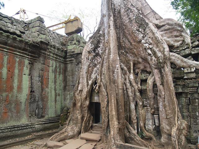 Templos de Angkor, morada de los dioses