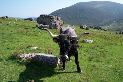 Nuestros paisajes Cantabros