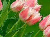 confianza puesta Dios