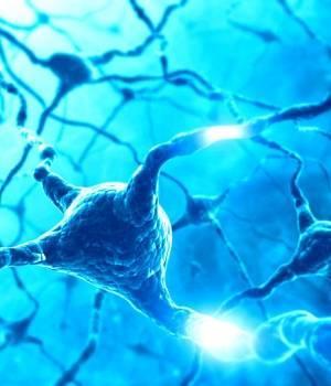 pridopidina Nueva droga para el tratamiento de los síntomas de la enfermedad de Huntington