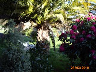 La ausencia de agua en la vida