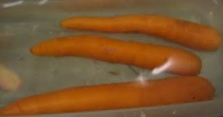 Como conservar las zanahorias frescas por mas tiempo