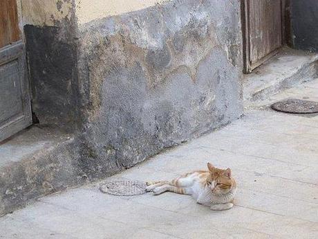 Melilla, paseo historia