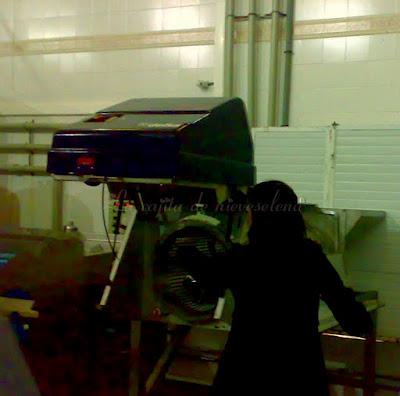 Bodegas nueva y vieja El Lagar de Isilla