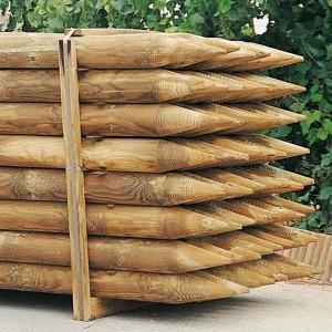 Entutorado de árboles