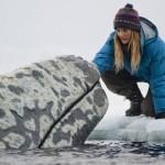 Una aventura extraordinaria-Una crítica a los magnates del petróleo y a los ecologistas