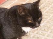 YAYA, abuelita medio ciega sorda PELIGRO (MURCIA)‏