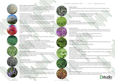 Centro Comercial Equinoccio por Dstudio