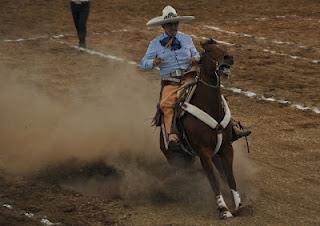 Tres Potrillos líder