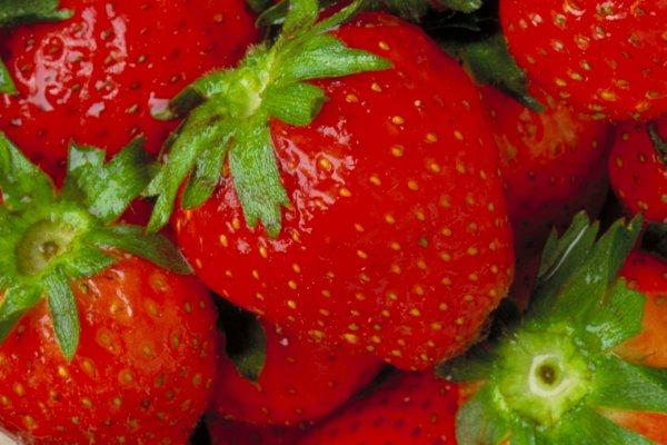 fresas