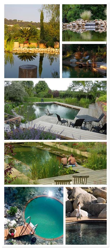 piscines-naturelles ¿TE APETECE UN CHAPUZÓN?