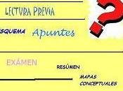 quiro estudiar"