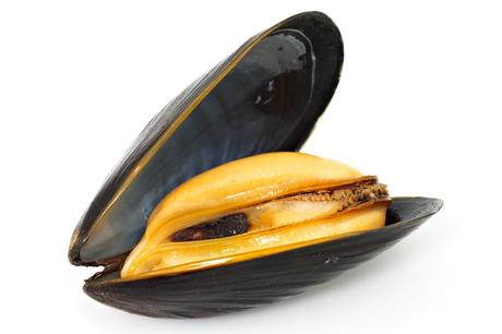 Mussel mejillon Alimentos para combatir los nervios