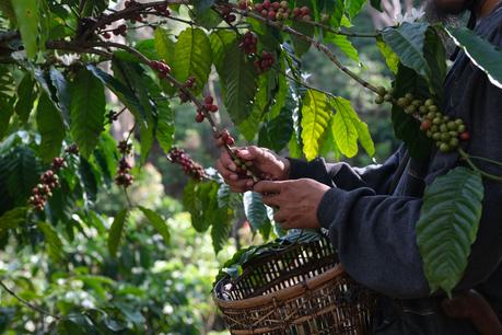 El Marketing Intelligence minimiza la volatilidad de los mercados para las empresas