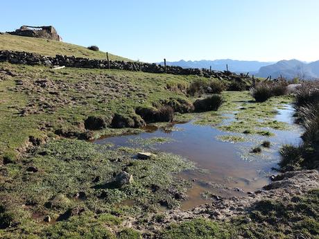 Les Cueves-La Carbazosa-Les Llombes-Picu la Carba-Pumarín