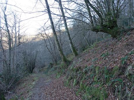 Les Cueves-La Carbazosa-Les Llombes-Picu la Carba-Pumarín