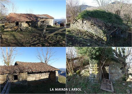 Les Cueves-La Carbazosa-Les Llombes-Picu la Carba-Pumarín