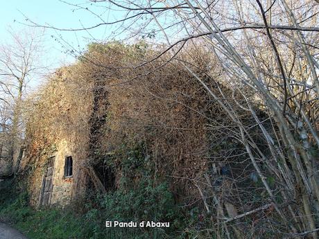 Les Cueves-La Carbazosa-Les Llombes-Picu la Carba-Pumarín