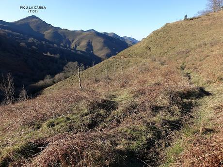 Les Cueves-La Carbazosa-Les Llombes-Picu la Carba-Pumarín