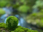 Protocol alían para definir estándar global medición huella carbono