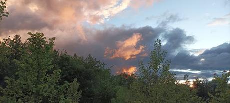 CAMINO DE SANTIAGO 13 LA DEVESA – ROBLES CAMINO DE SANTIAGO 13 LA DEVESA – ROBLES