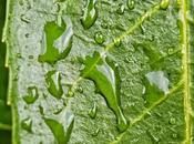 Momento Fotografía creativa móvil Barakaldo Ibarakaldo