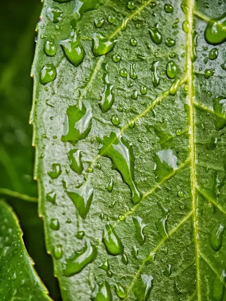 El Momento – Fotografía creativa móvil en Barakaldo | Ibarakaldo
