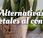 Alternativas Vegetales Confeti