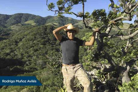 Facultad de Ciencias publican en Science estudio sobre recuperación natural de bosques tropicales Facultad de Ciencias publican en Science estudio sobre recuperación natural de bosques tropicales